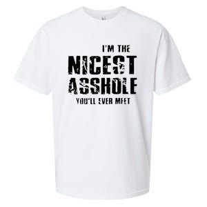 Im The Nicest Asshole Youll Ever Meet Sueded Cloud Jersey T-Shirt