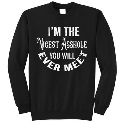 Im The Nicest Asshole You Will Ever Meet Funny Sarcastic Sweatshirt