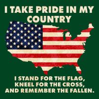 I Take Pride In My Country Distressed USA American Flag Map T-Shirt