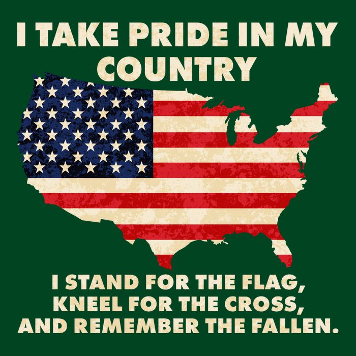 I Take Pride In My Country Distressed USA American Flag Map T-Shirt