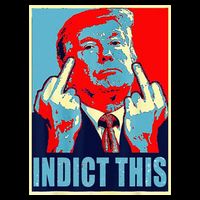 Indict This Pro Donald Trump Funny USA-Made Doggie Bandana