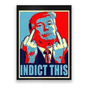 Indict This Pro Donald Trump Funny Poster