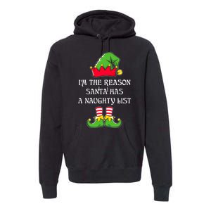 IM The Reason Santa Has A Naughty List Christmas Elf Lovers Premium Hoodie