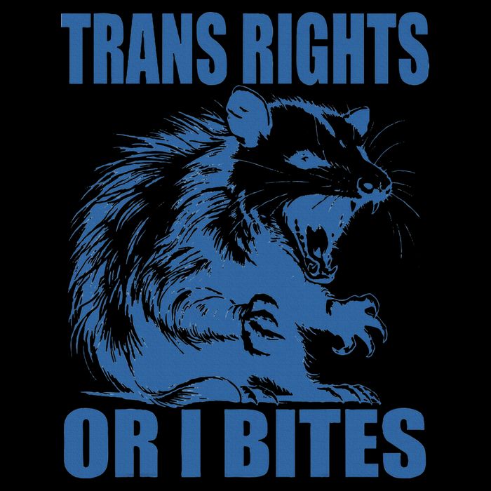 Inclusive Tran Rights Or I Bites 16oz Travel Tumbler