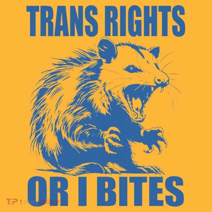Inclusive Tran Rights Or I Bites Sustainable Knit Beanie