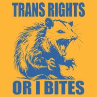 Inclusive Tran Rights Or I Bites Pom Pom 12in Knit Beanie