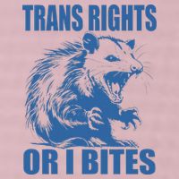Inclusive Tran Rights Or I Bites 25L Jumbo Tote