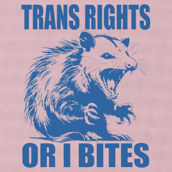 Inclusive Tran Rights Or I Bites 25L Jumbo Tote