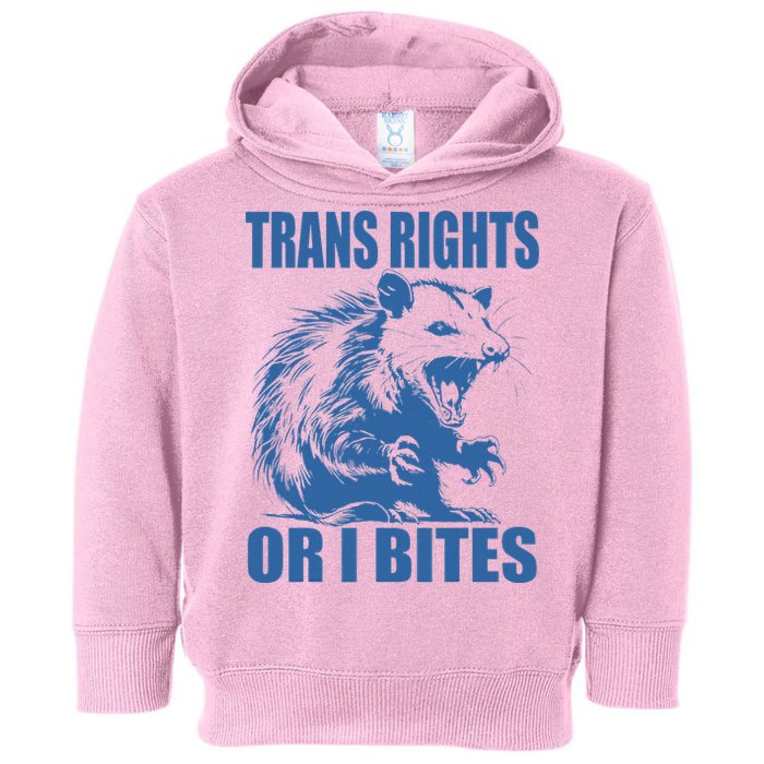 Inclusive Tran Rights Or I Bites Toddler Hoodie