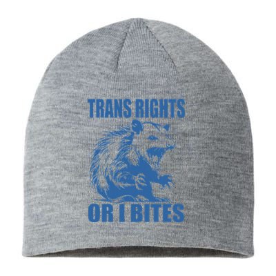 Inclusive Tran Rights Or I Bites Sustainable Beanie