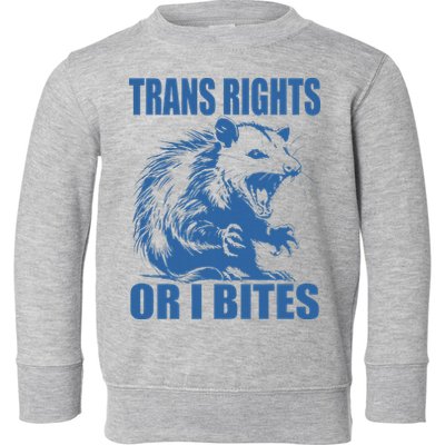 Inclusive Tran Rights Or I Bites Toddler Sweatshirt