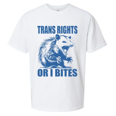 Inclusive Tran Rights Or I Bites Sueded Cloud Jersey T-Shirt