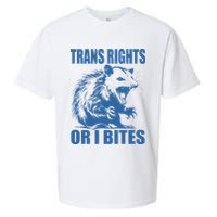 Inclusive Tran Rights Or I Bites Sueded Cloud Jersey T-Shirt