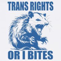 Inclusive Tran Rights Or I Bites Bucket Hat