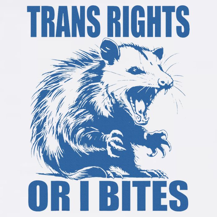 Inclusive Tran Rights Or I Bites Bucket Hat