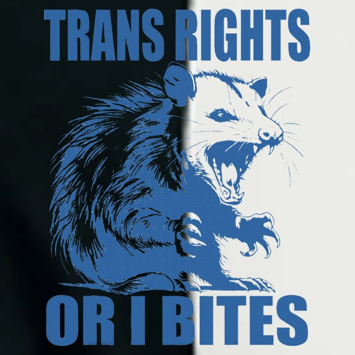 Inclusive Tran Rights Or I Bites Infant Baby Jersey Bodysuit