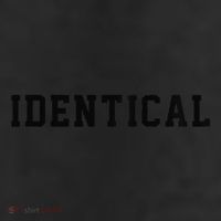 Identical Twin Raglan 7 Panel Mesh Trucker Snapback Hat