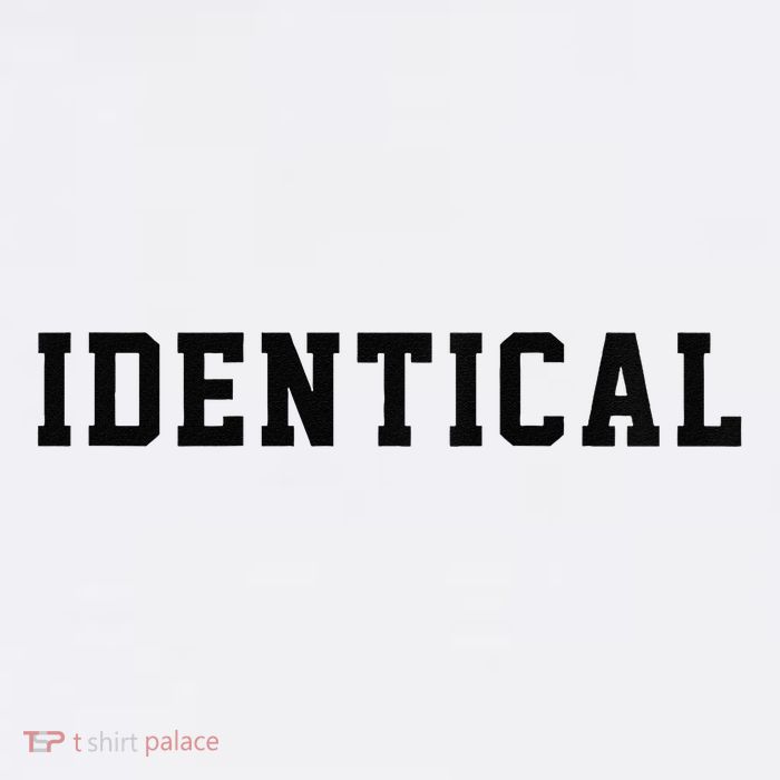 Identical Twin Raglan Hoodie