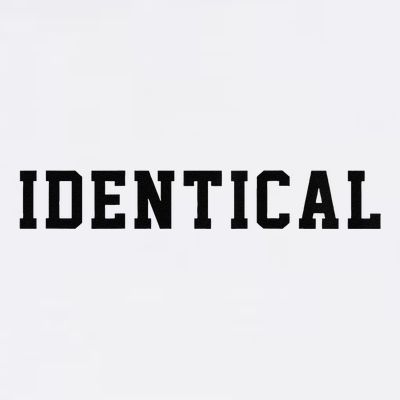 Identical Twin Raglan T-Shirt