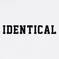 Identical Twin Raglan Button