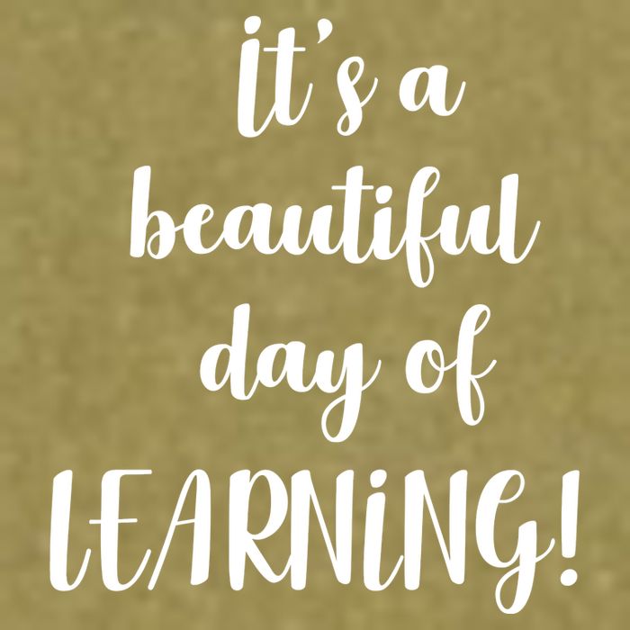 It's A Beautiful Day Of Learning! Garment-Dyed Women's Muscle Tee