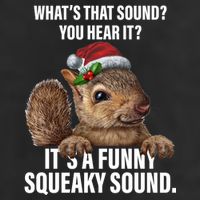 It's A Funny Squeaky Sound Christmas Squirrel Cool Comfort Performance Bucket Hat
