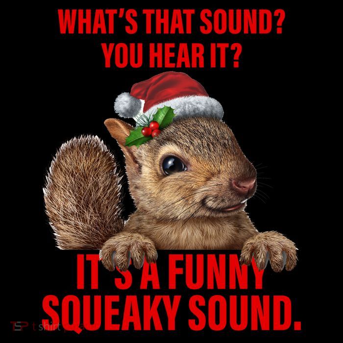 It's A Funny Squeaky Sound Christmas Squirrel Mug