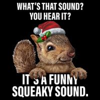It's A Funny Squeaky Sound Christmas Squirrel Drawstring Bag