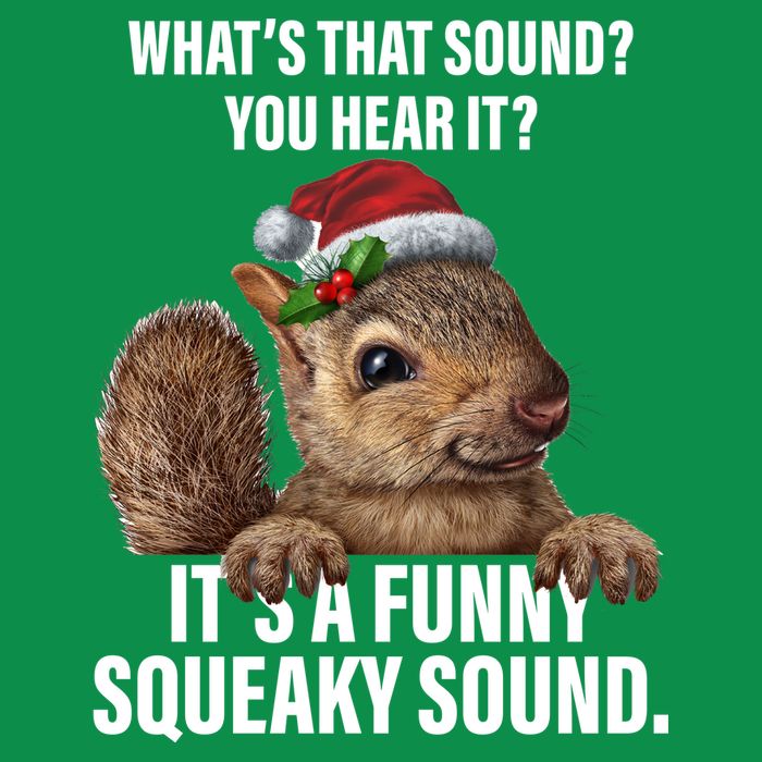 It's A Funny Squeaky Sound Christmas Squirrel Hoodie