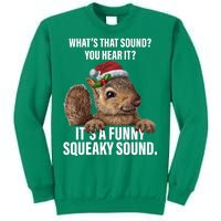 It's A Funny Squeaky Sound Christmas Squirrel Sweatshirt