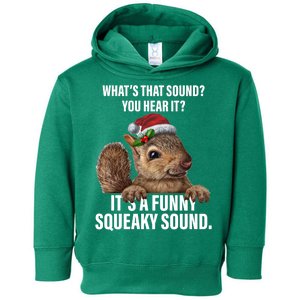 It's A Funny Squeaky Sound Christmas Squirrel Toddler Hoodie