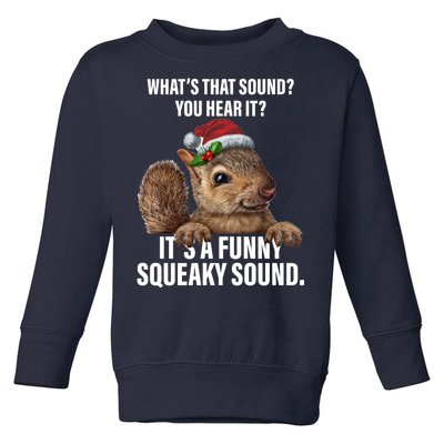 It's A Funny Squeaky Sound Christmas Squirrel Toddler Sweatshirt