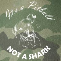It's A Pitbull Not A Shark Legacy Tie Dye Trucker Hat