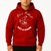 It's A Pitbull Not A Shark Hoodie