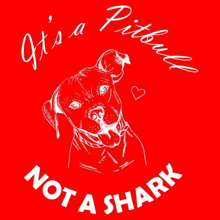 It's A Pitbull Not A Shark 16 in Basic Backpack