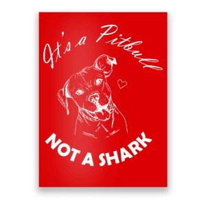 It's A Pitbull Not A Shark Poster