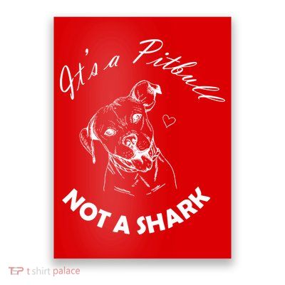 It's A Pitbull Not A Shark Poster