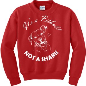 It's A Pitbull Not A Shark Kids Sweatshirt