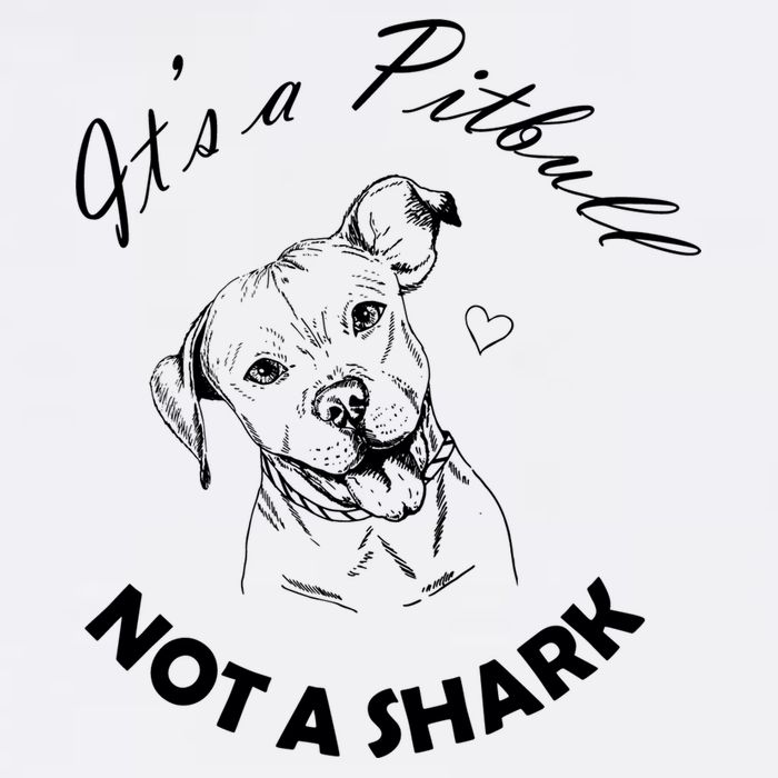It's A Pitbull Not A Shark Garment-Dyed Sweatshirt