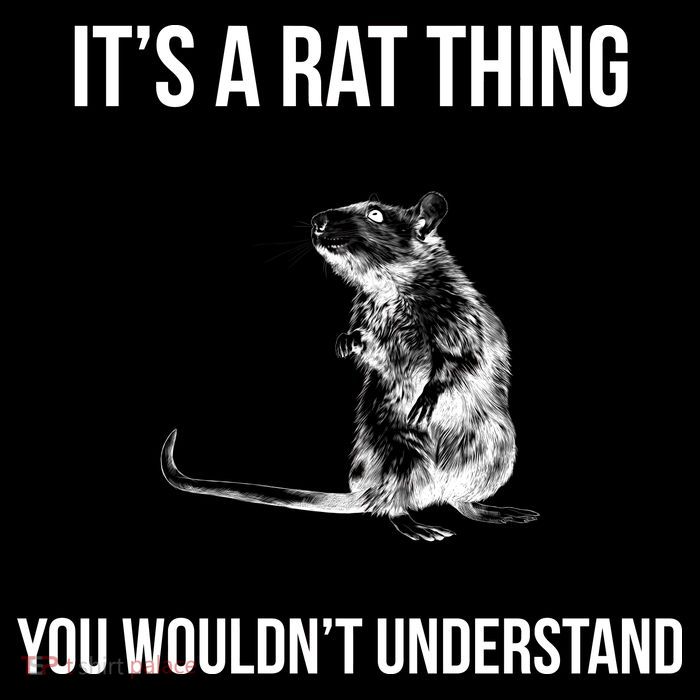It's A Rat Thing You Wouldn't Understand Visor