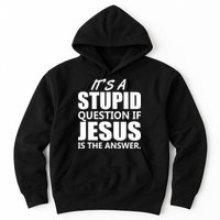 It's A Stupid Question If Jesus Is The Answer Hoodie