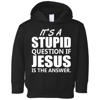 It's A Stupid Question If Jesus Is The Answer Toddler Hoodie