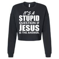 It's A Stupid Question If Jesus Is The Answer Cropped Pullover Crew