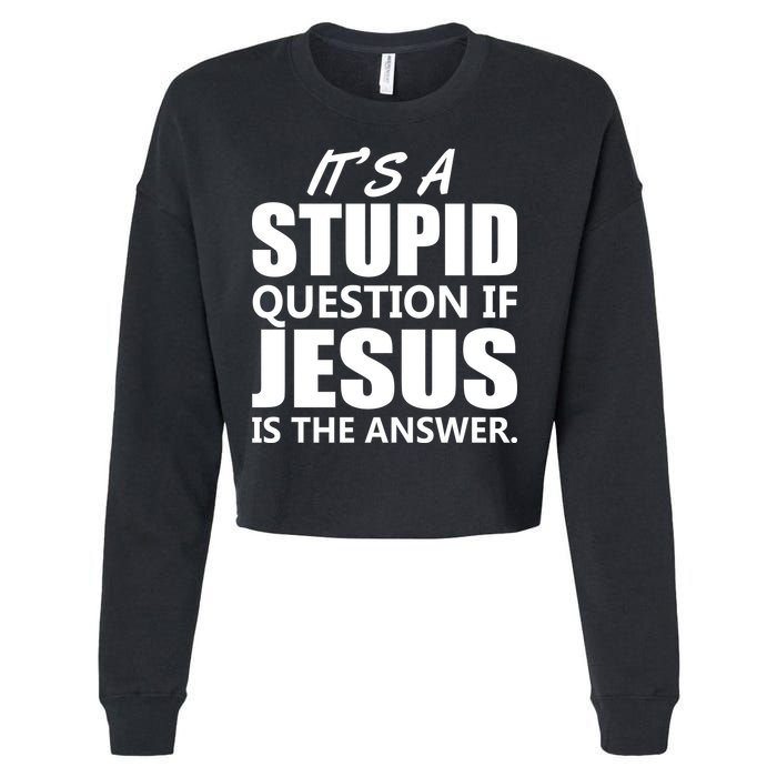 It's A Stupid Question If Jesus Is The Answer Cropped Pullover Crew