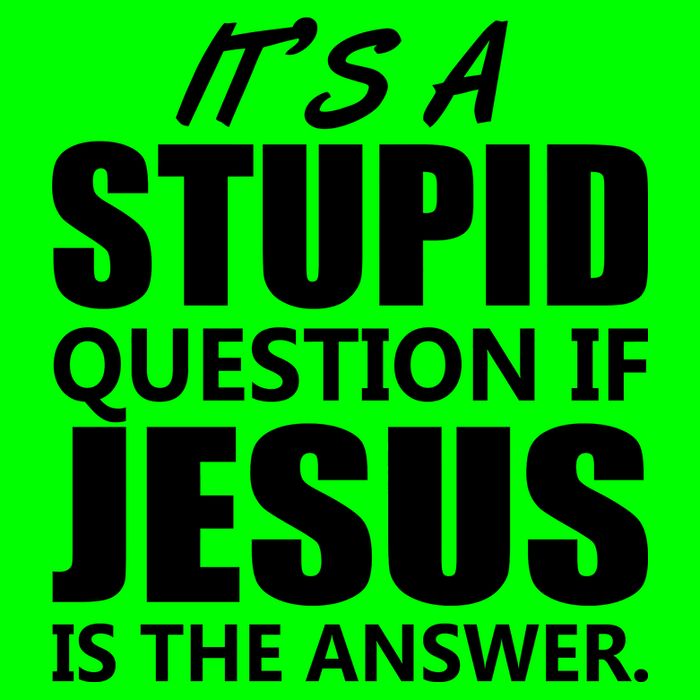 It's A Stupid Question If Jesus Is The Answer Sustainable Knit Beanie