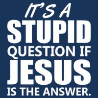 It's A Stupid Question If Jesus Is The Answer Infant Baby Jersey Bodysuit