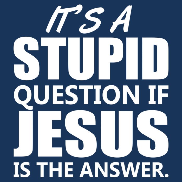 It's A Stupid Question If Jesus Is The Answer Infant Baby Jersey Bodysuit