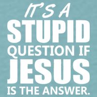 It's A Stupid Question If Jesus Is The Answer Sueded Cloud Jersey T-Shirt