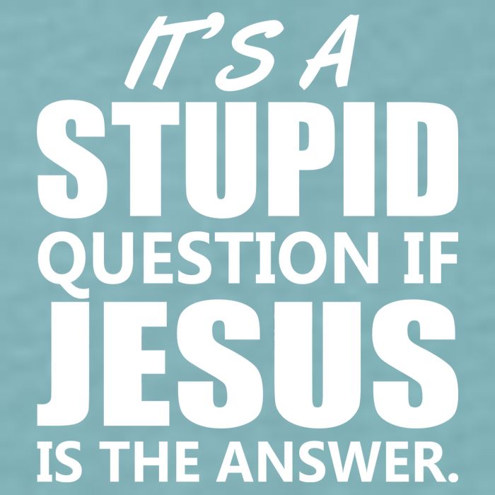 It's A Stupid Question If Jesus Is The Answer Sueded Cloud Jersey T-Shirt