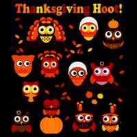 It's a Thanksgiving Hoot Owl Mashup Cropped Pullover Crew